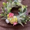 charm_yucca8718