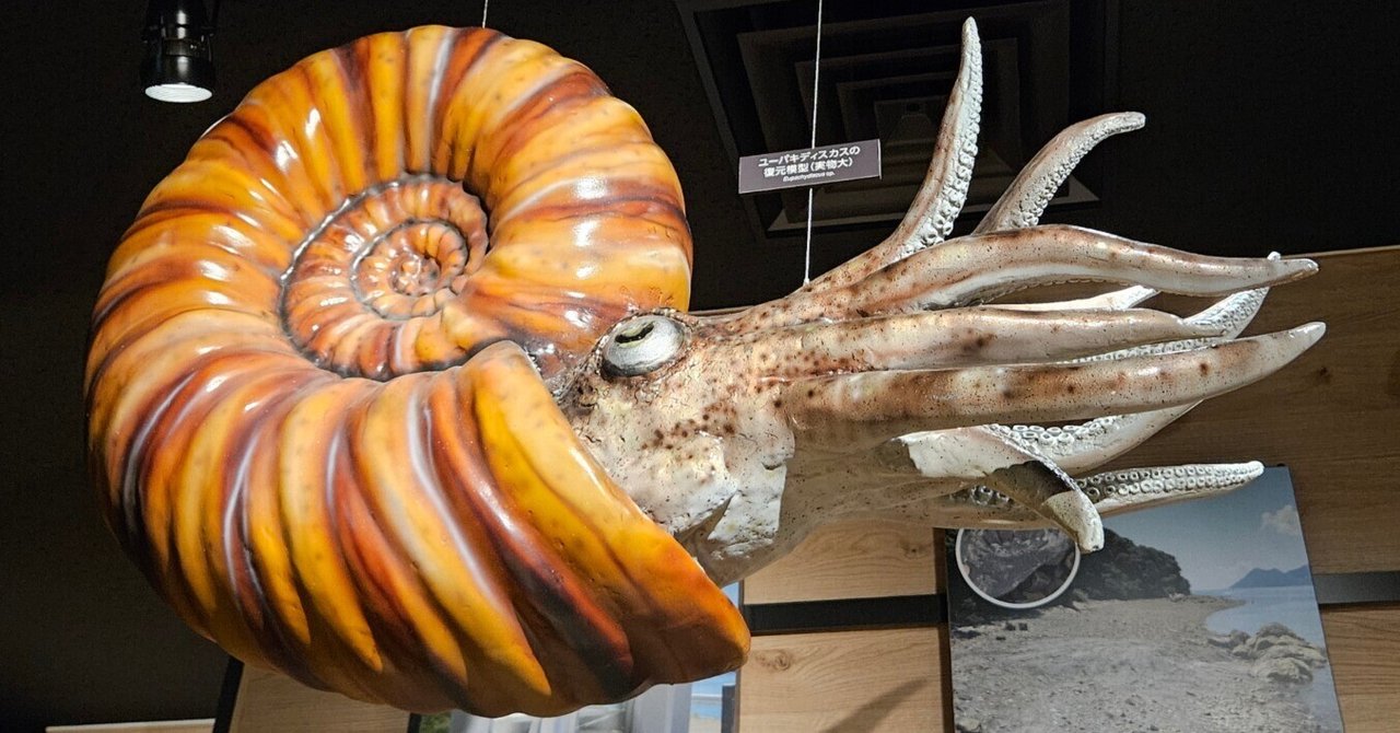 The Lost Universe 古代の巨大頭足類③巨大アンモナイト|美原さつき The Lost Universe 古代の巨大頭足類③巨大アンモナイト|美原さつき