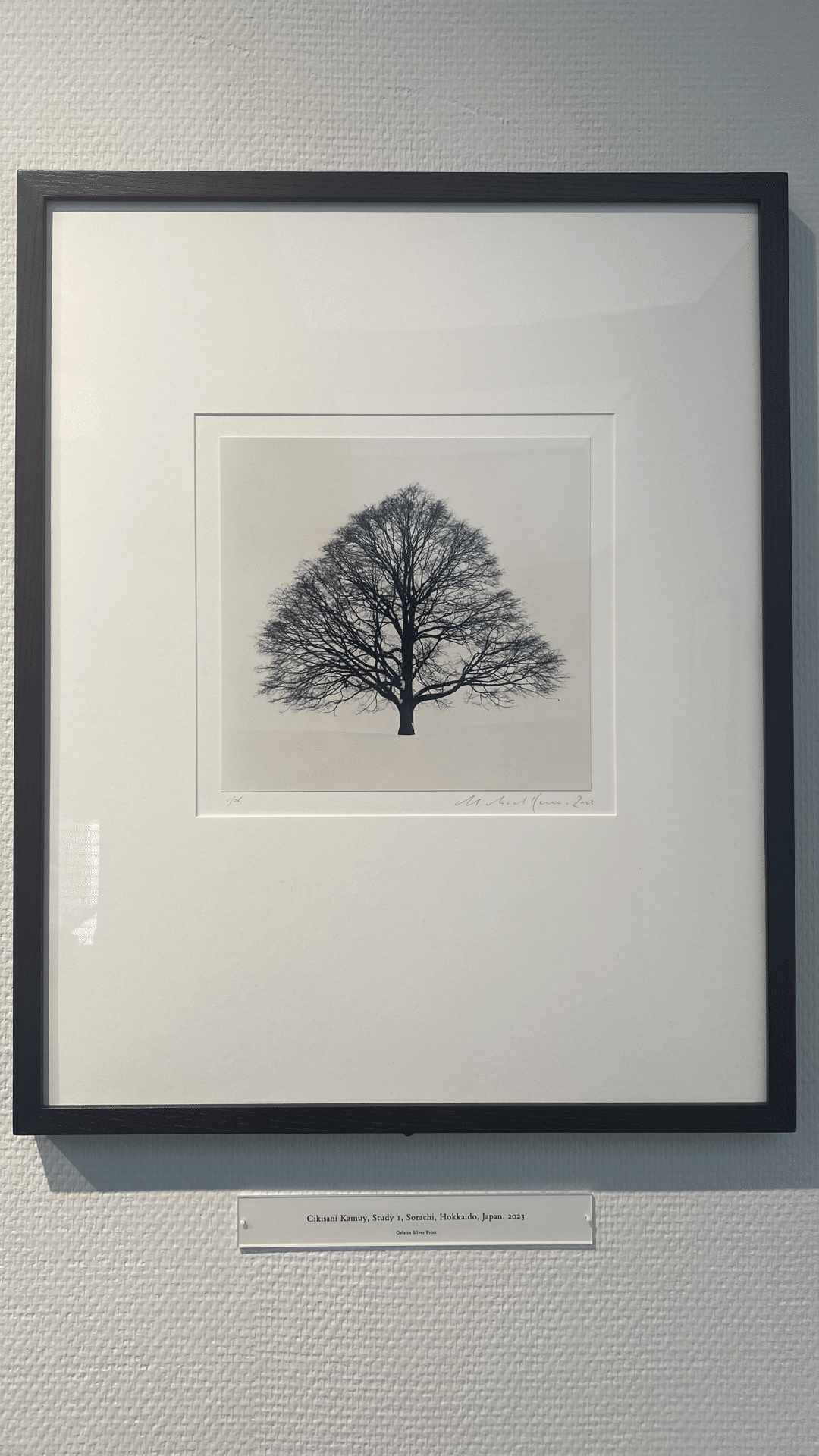 何も言わない美しい風景】マイケル・ケンナ写真展 JAPAN / A Love