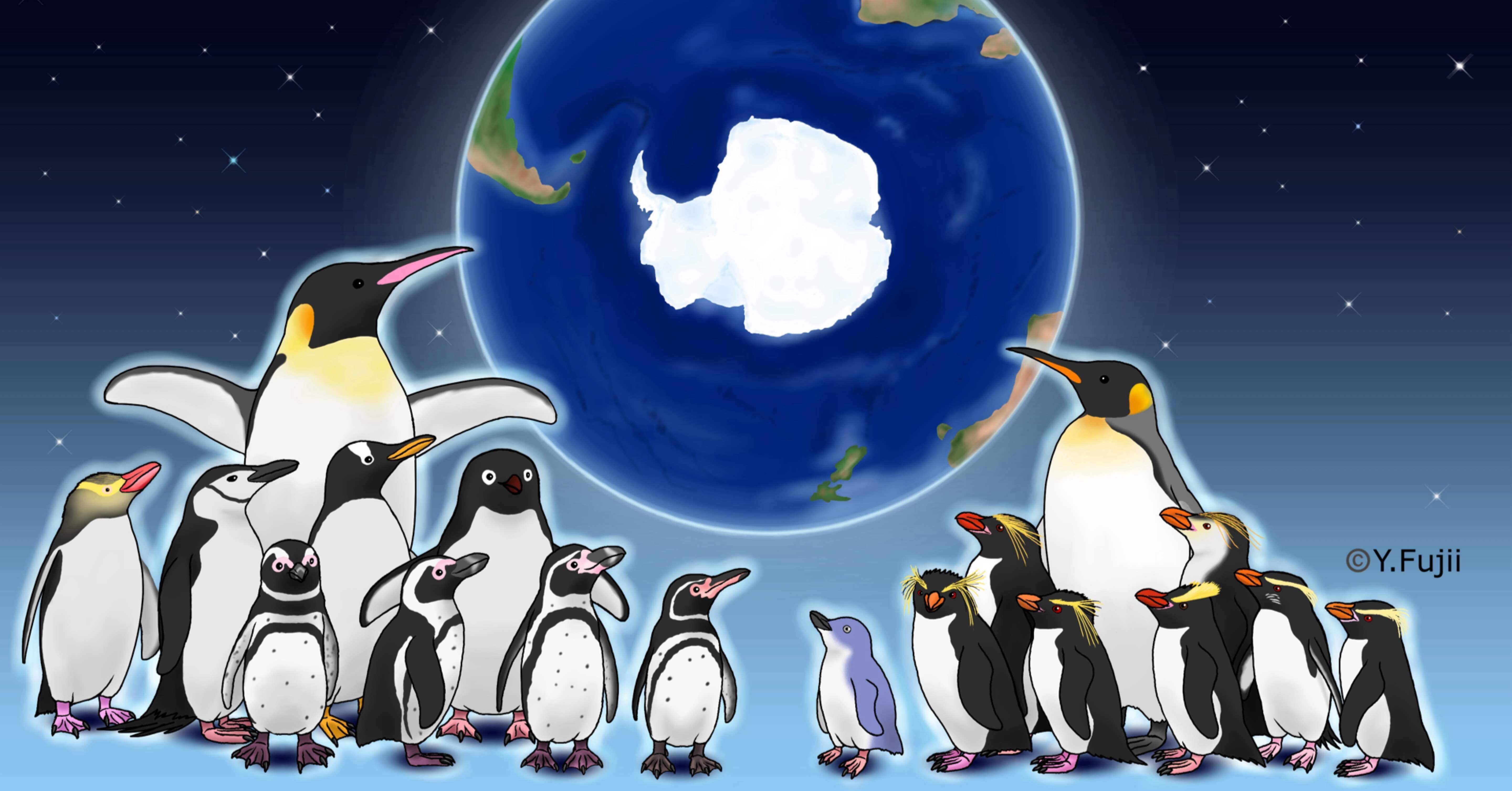 a6ed5444cb24911ce8f432b6e24efc