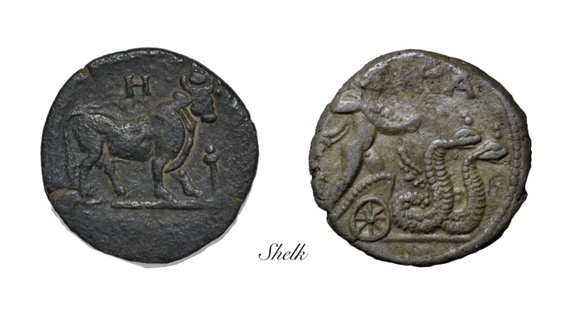 アンティークコインの世界 〜研究テーマを設けよう〜｜Shelk🦋