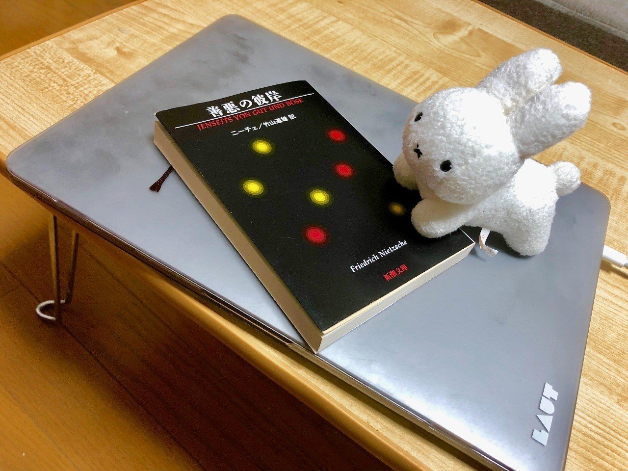 大人の読書感想文ニーチェ 善悪の彼岸 Che Bunbun Note