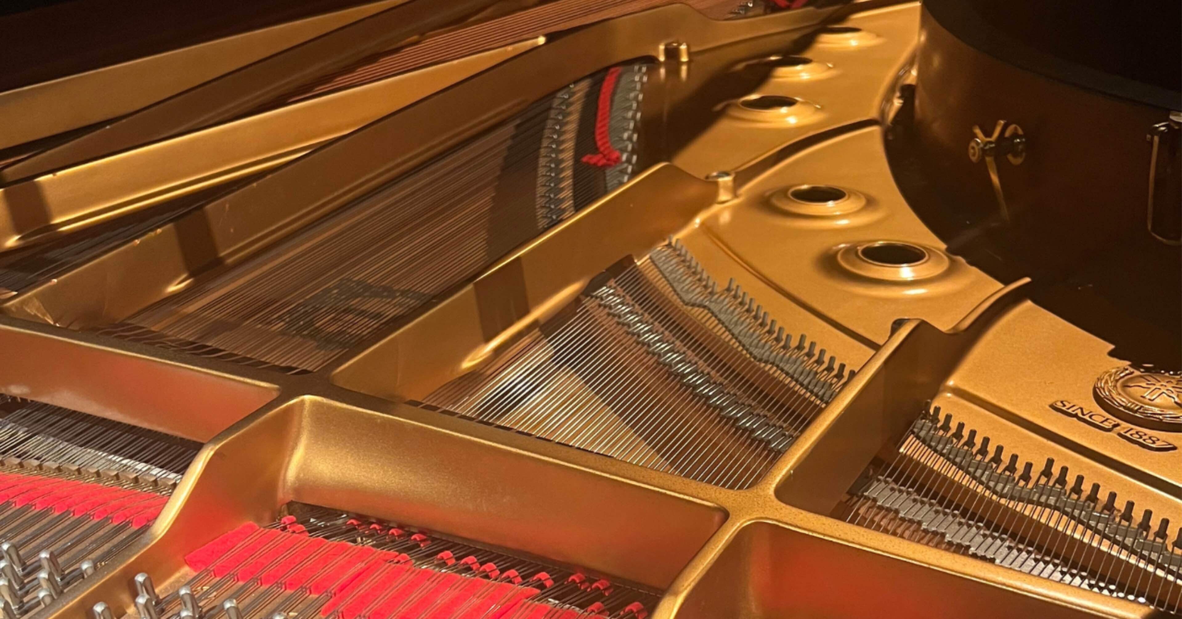 GEISHA GIRLS論③ ーー30年後の少年たち｜skmt archiv