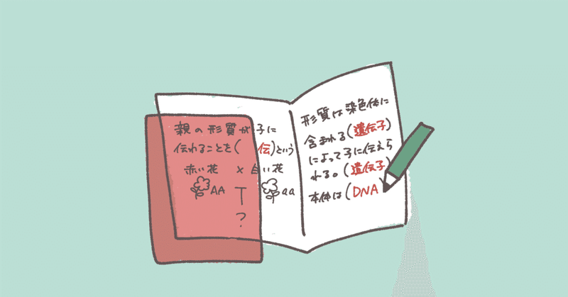 保育士さんに褒められた、元国語科教師が書く保育園の連絡帳の書き方のコツ。