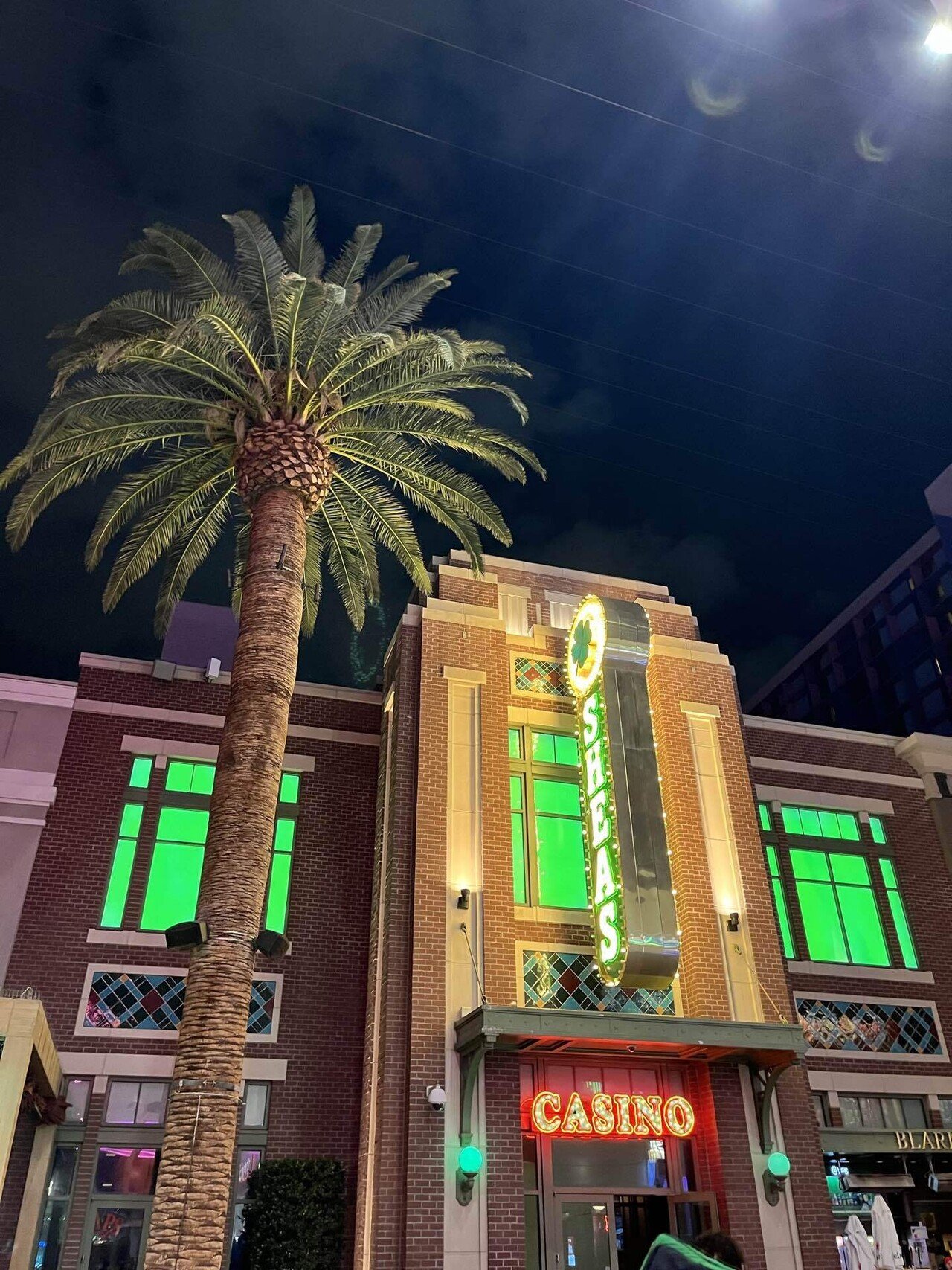 世界放浪記#82 映画みたいな世界だったラスベガスで豪遊(?)｜ERI✧世界