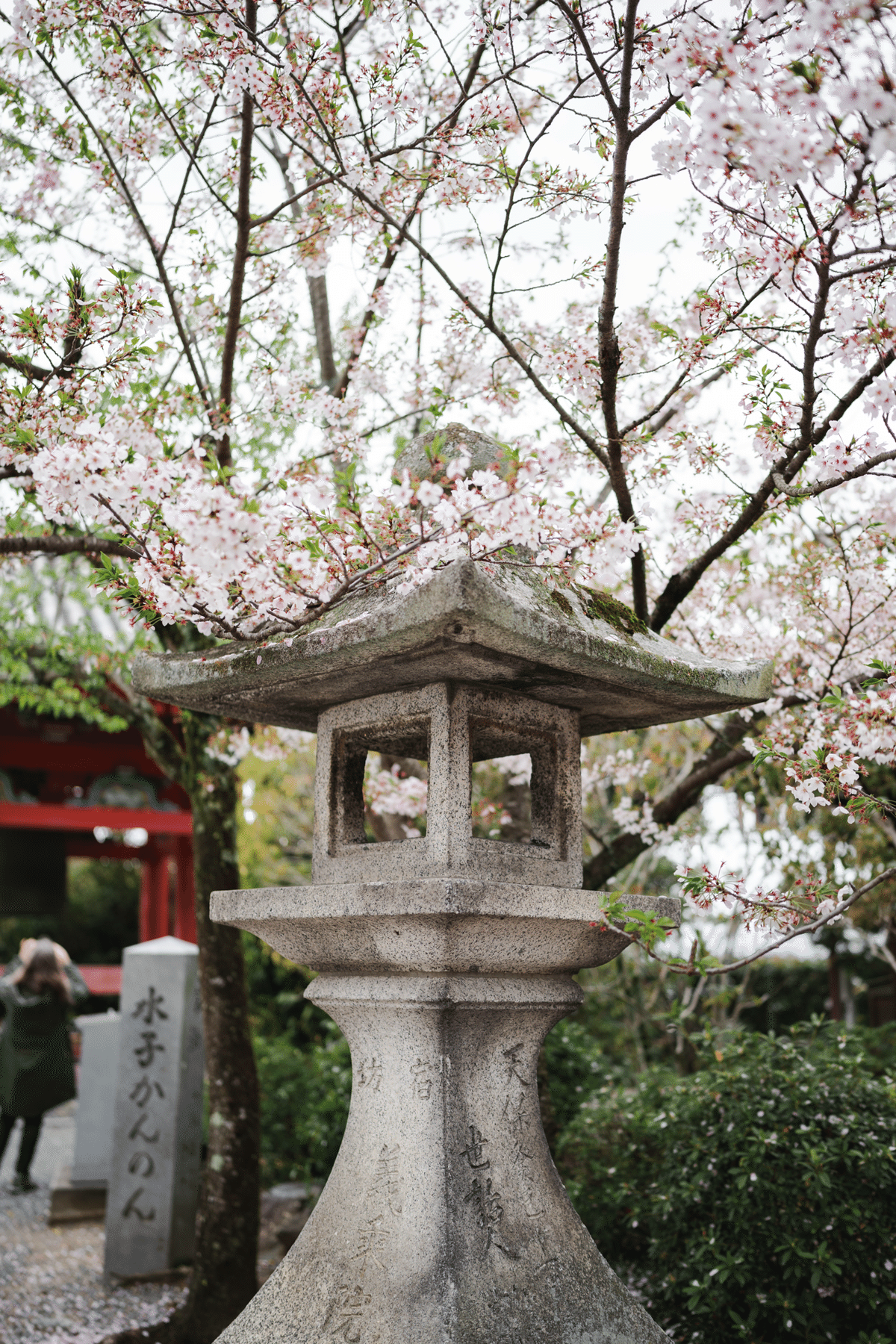 FE 35mm F1.4 GM」で撮る春の京都スナップ｜丼(don)