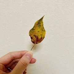 小さいころ握りしめていた物（朗読ver）