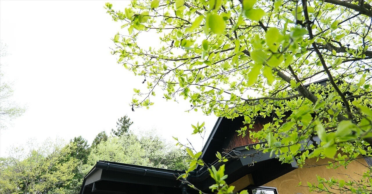 美品 青銅製 深青色花瓶 後藤銅器店 風花画廊オンラインショップ通信【8】｜江口 敬｜写真家