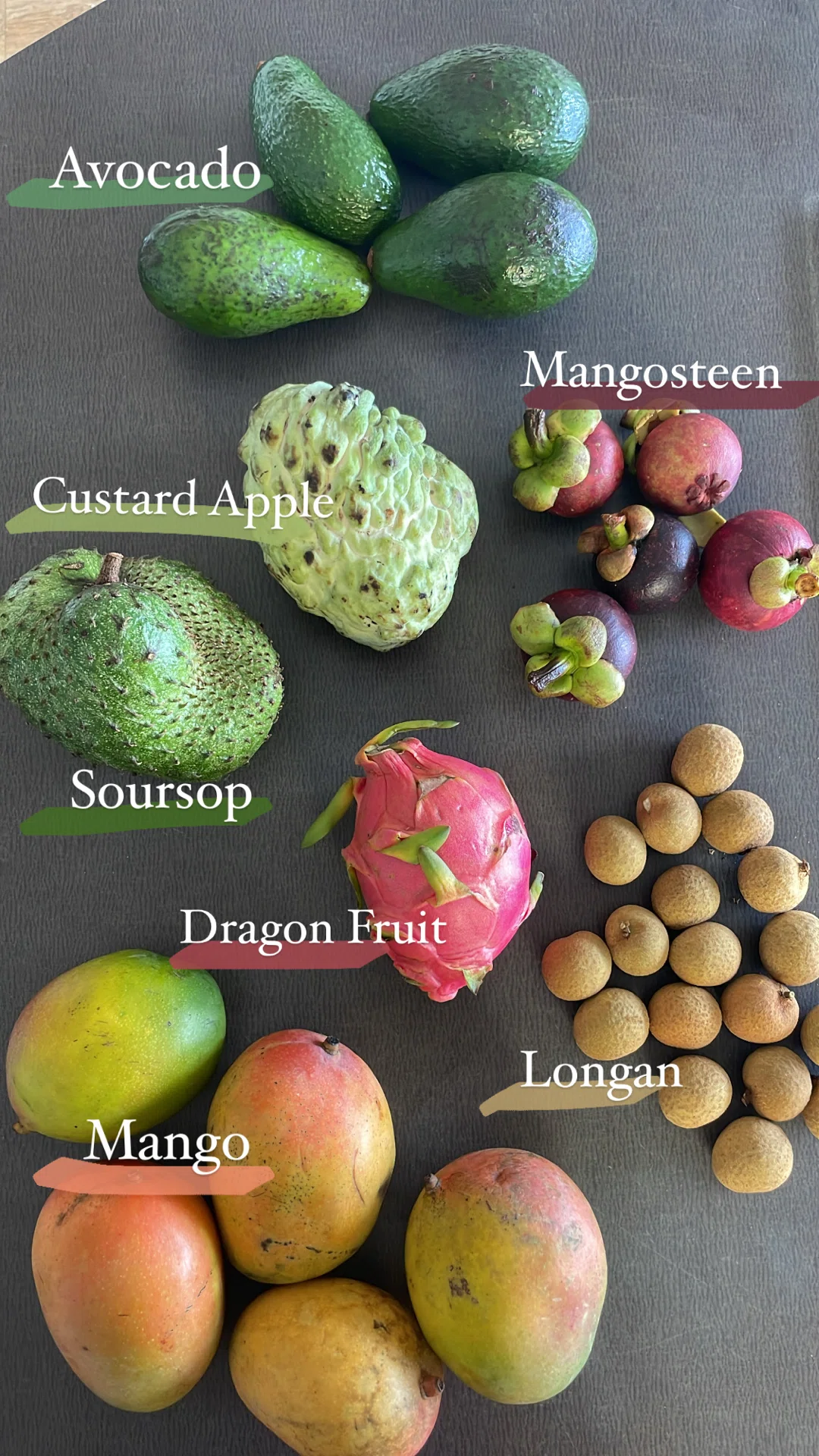 南国のフルーツ食べてみた】Mangosteen・Jackfruit｜ルナのワーホリ