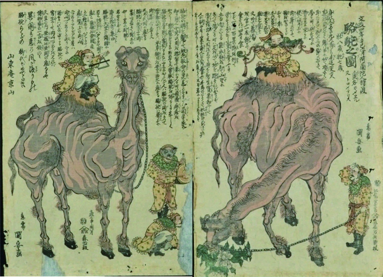 eb71395190ffc2b204ba8846a483d3