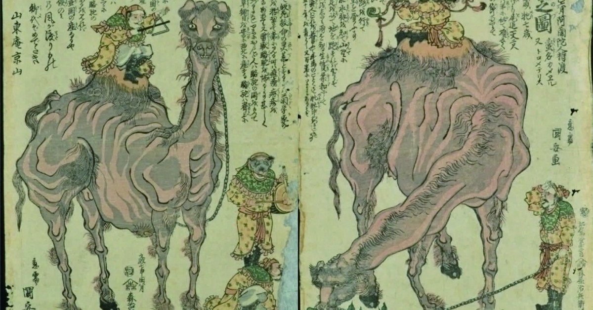 国内外の人気が集結 第3回「駱駝（らくだ）が江戸にやって来た！」｜アド コレクション