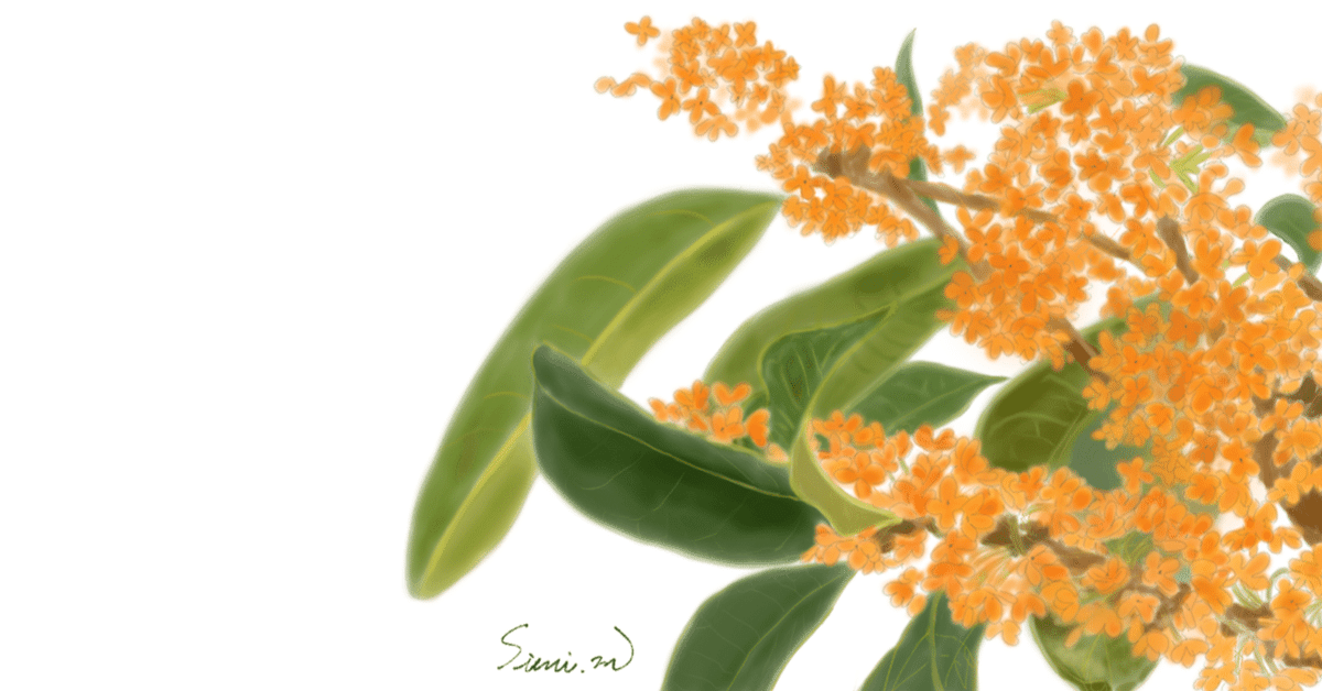 三浦春馬◇シンシア・エリヴォ コンサートパンフレット