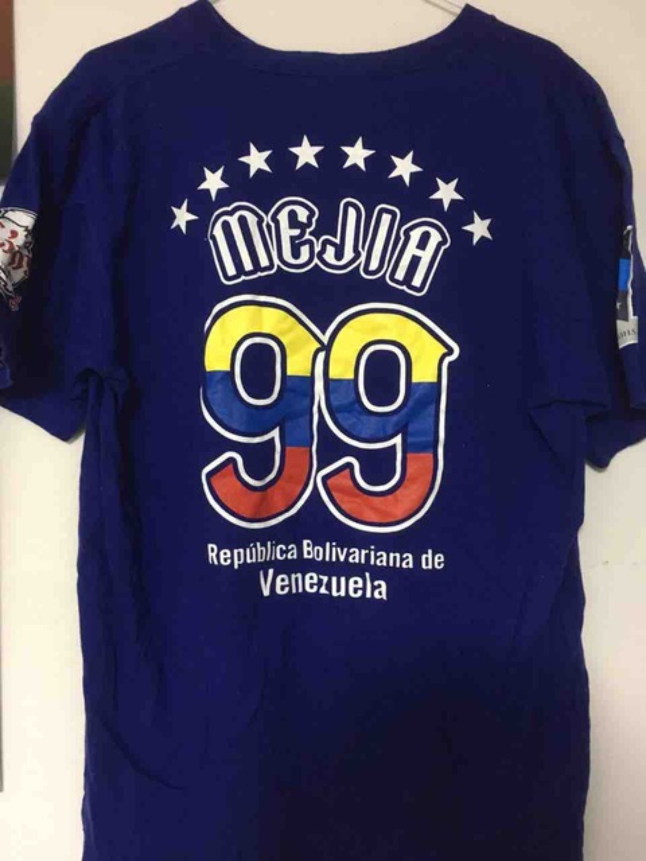 10年代埼玉西武ライオンズ歴代外国人図鑑 野手編 みやまる Note 10年代埼玉西武ライオンズ歴代外国人図鑑 野手編 みやまる Note