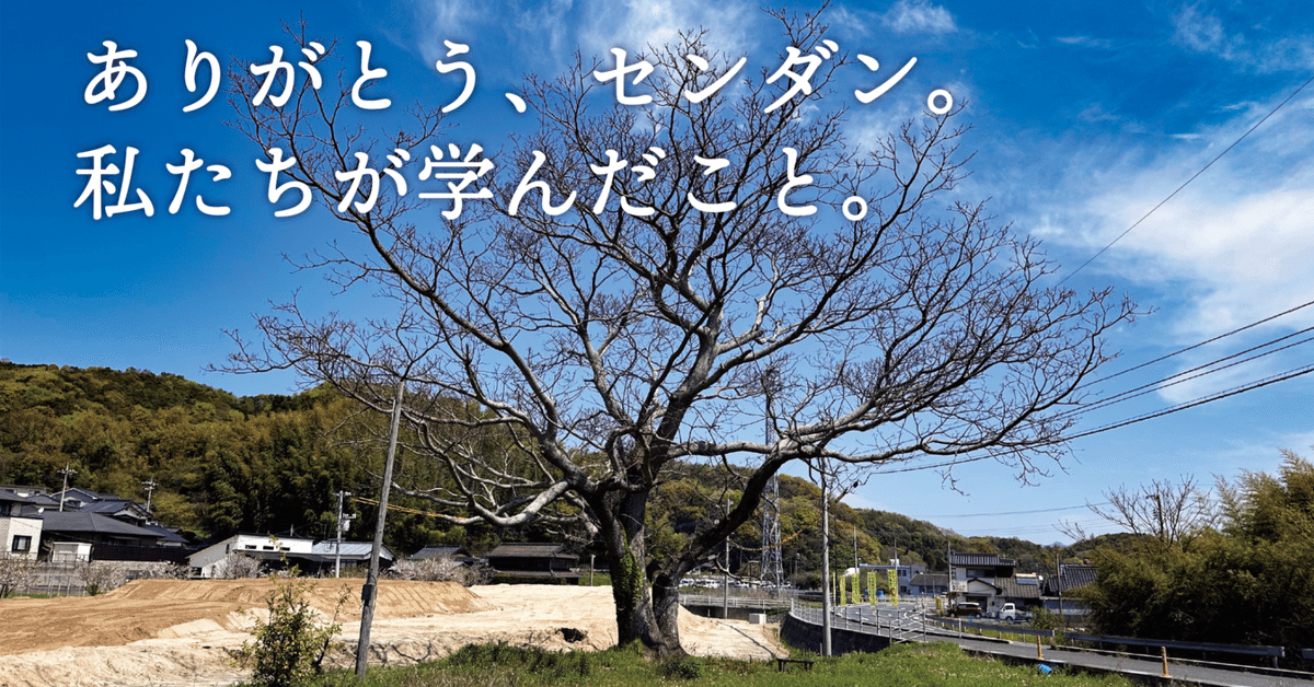 田布施の名木・センダンは5−6mで切られることに。センダンの会
