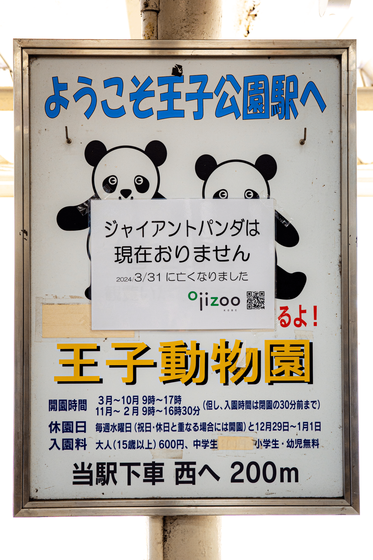 王子動物園にいった / perfect days｜ほかま