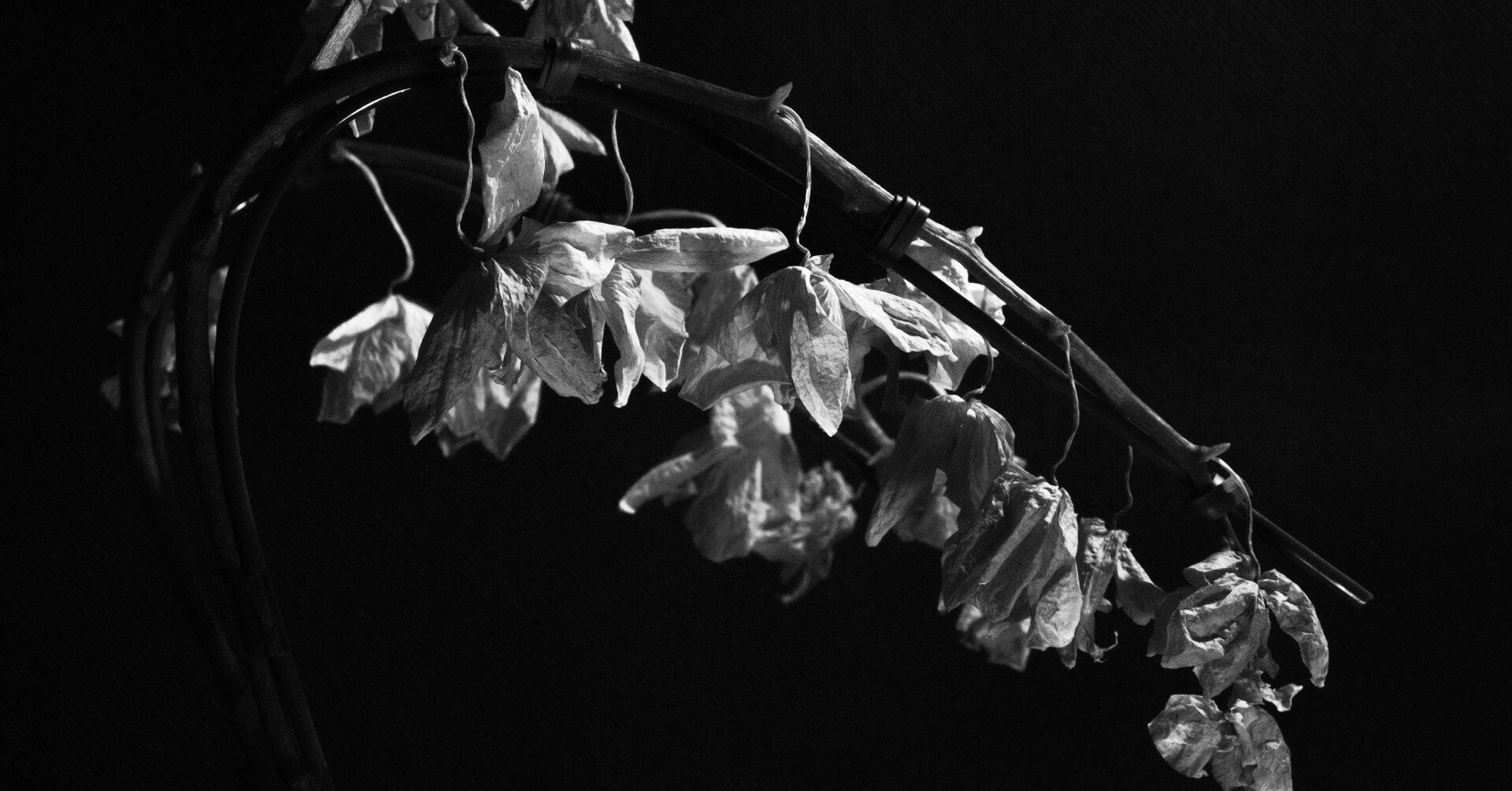 8d214304822800994a4b57229ed567