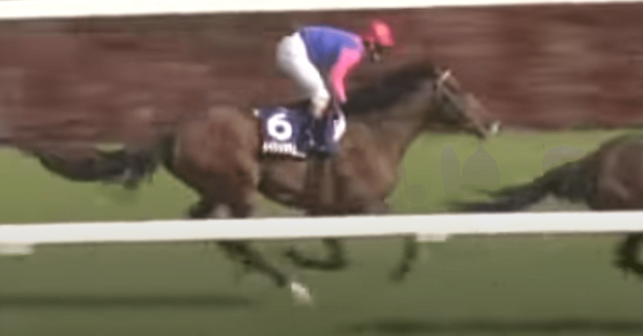 非売品】競馬メイショウサムソン 2007天皇賞春秋連覇記念 清酒
