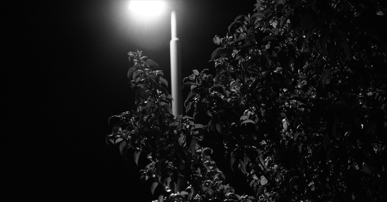 子夜 Nikon】夜景撮影の不安をゼロに！この「名コンビ」なら、鮮やかな