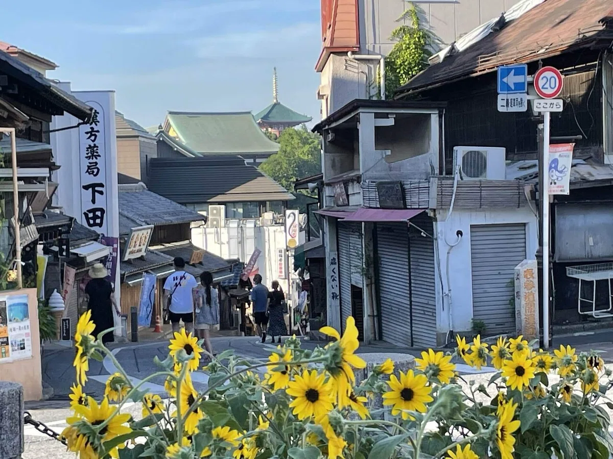 画像