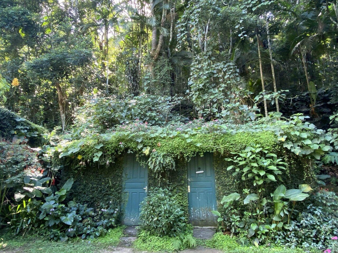 ラテンアメリカ旅行 #13】🇧🇷リオデジャネイロの特別な景観と文化体験