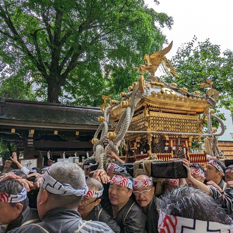 週末に行きたいお祭り
https://j-matsuri.com/torigoematsuri/
猿田彦、手古舞連に続くのは、千貫御輿といわれるほどの東京一の重さを誇る神輿。百数十個の高張提灯も美しい下町のお祭り。
#東京都
#台東区
#6月
#まつりとりっぷ #日本の祭 #japanese_festival #祭 #祭り #まつり #祭礼 #festival #旅 #travel #Journey #trip #japan #ニッポン #日本 #祭り好き #お祭り男 #祭り好きな人と繋がりたい