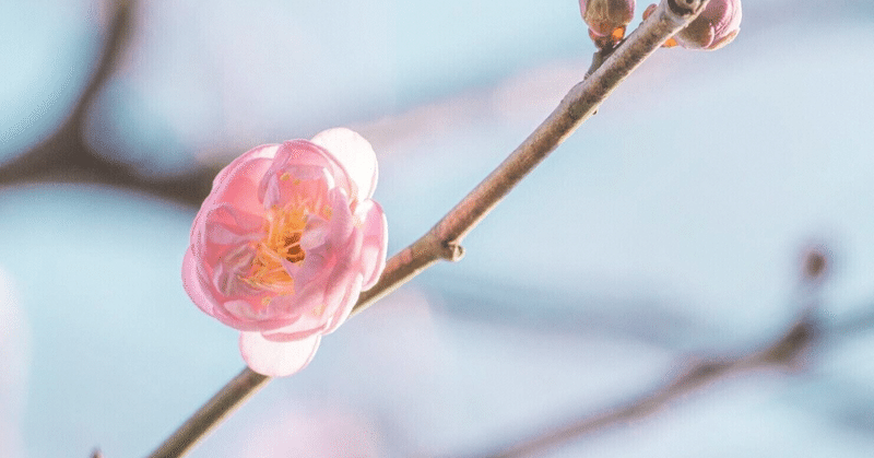 【詩】春と、サヨナラの話。