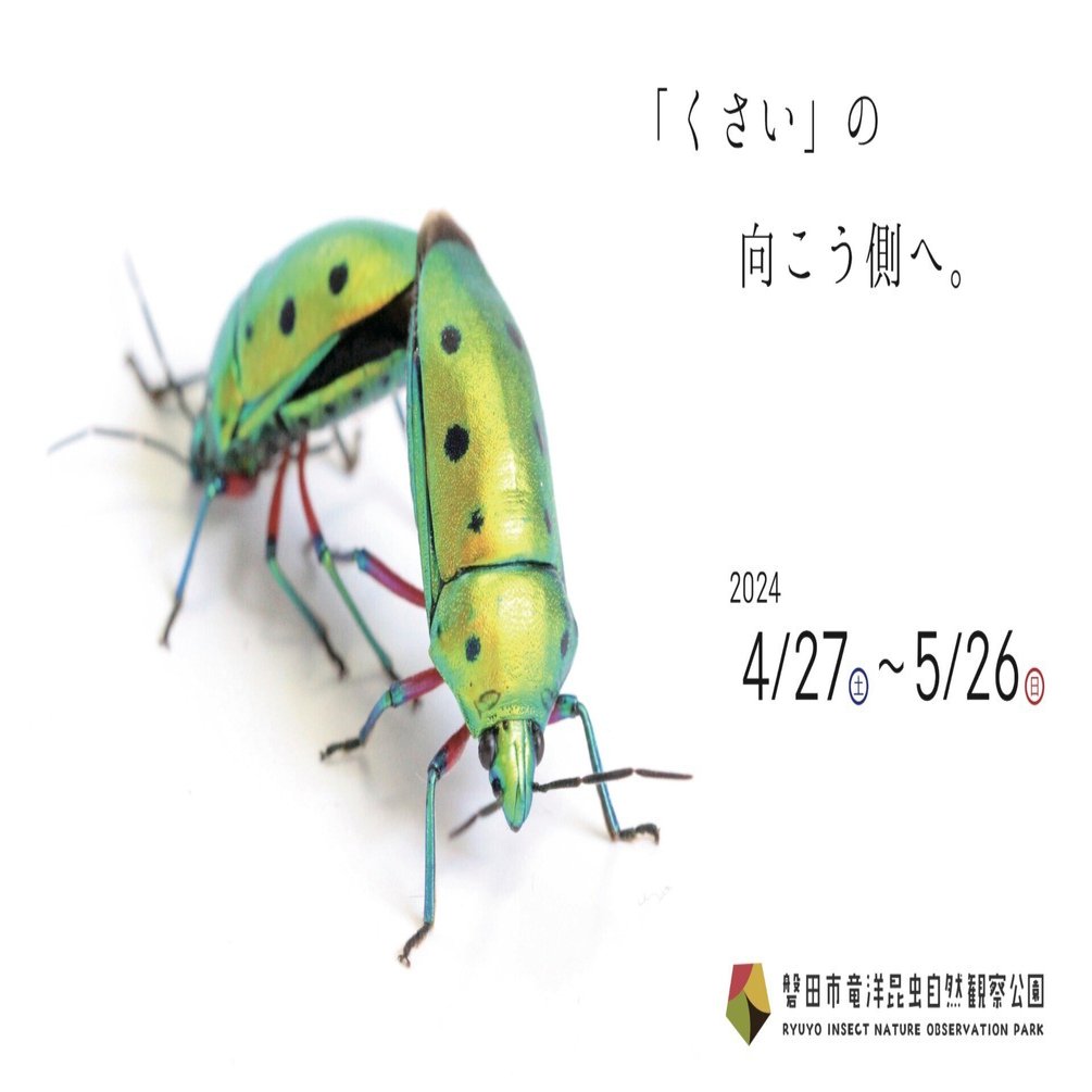 ミニ展示 カメムシ」のお知らせ｜竜洋昆虫自然観察公園