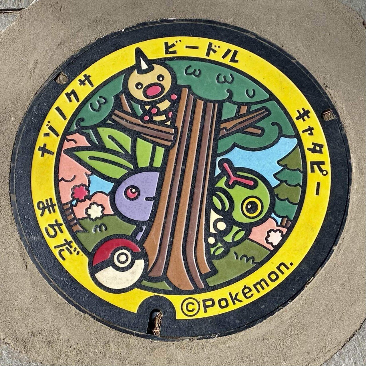 東京都 町田市の『ポケふた』｜ユウ