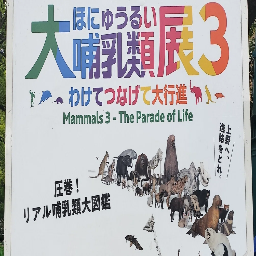 大哺乳類展3 動物たちの大行進｜エト