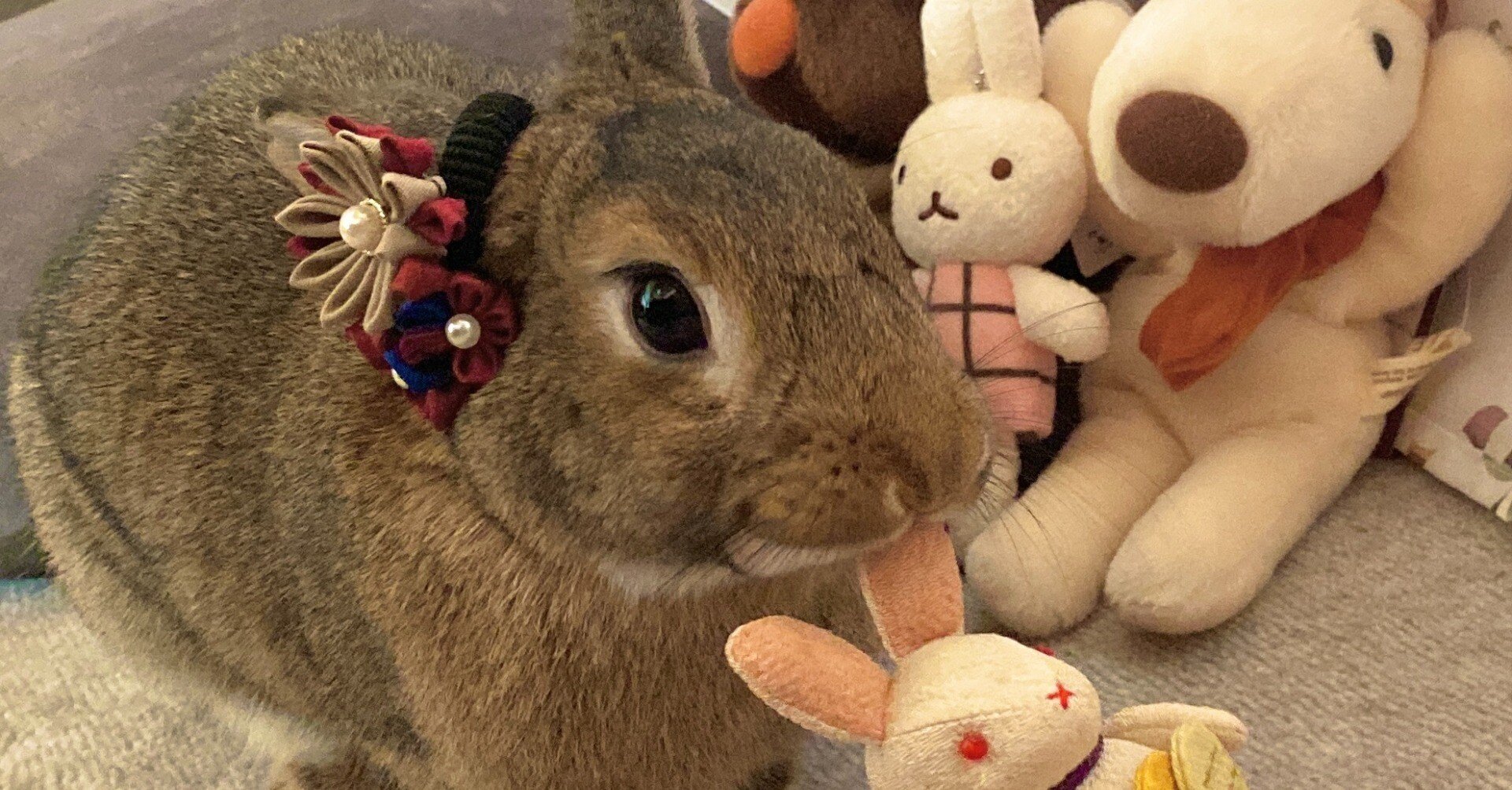 🐇うさぎ雑貨Shop情報まとめ※'24/2/2更新｜mike