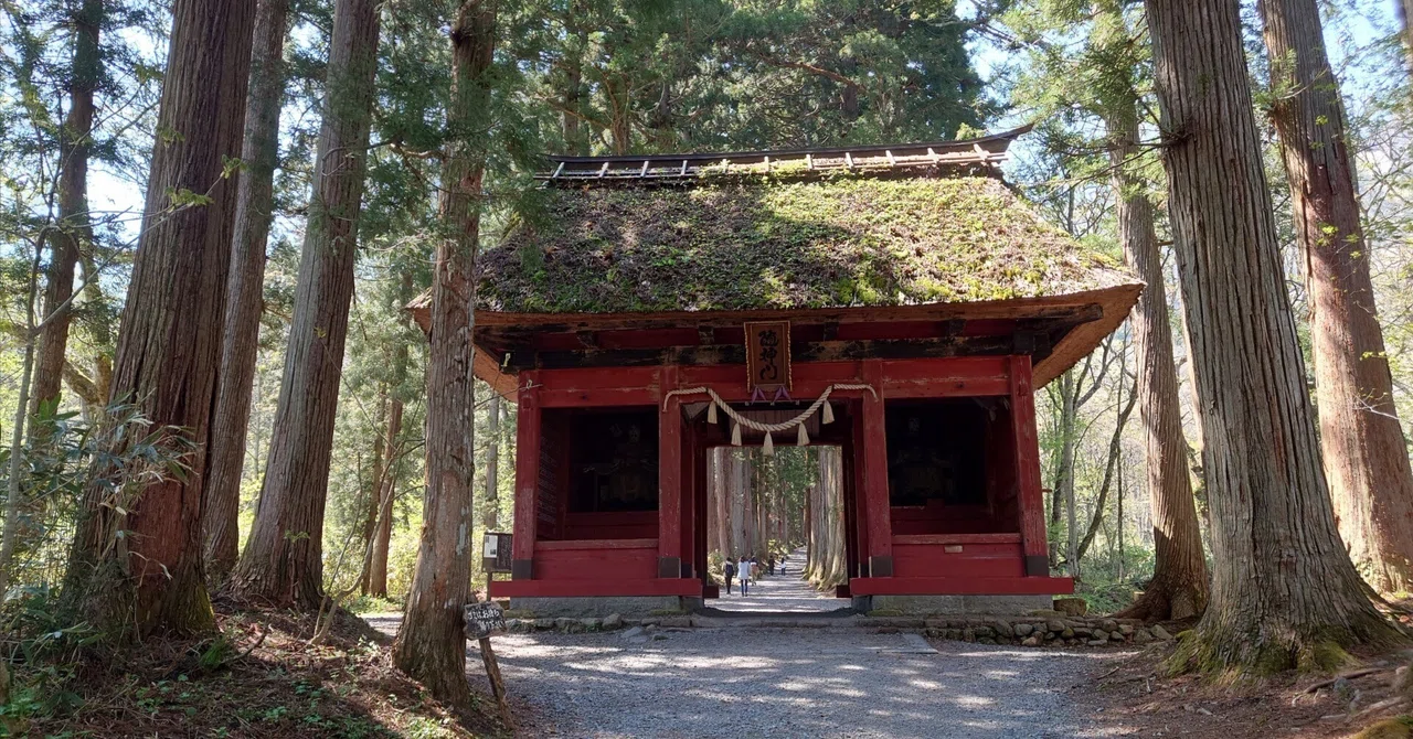 戸隠神社奥社参拝と不思議写真·*｜雨のち晴れ·*