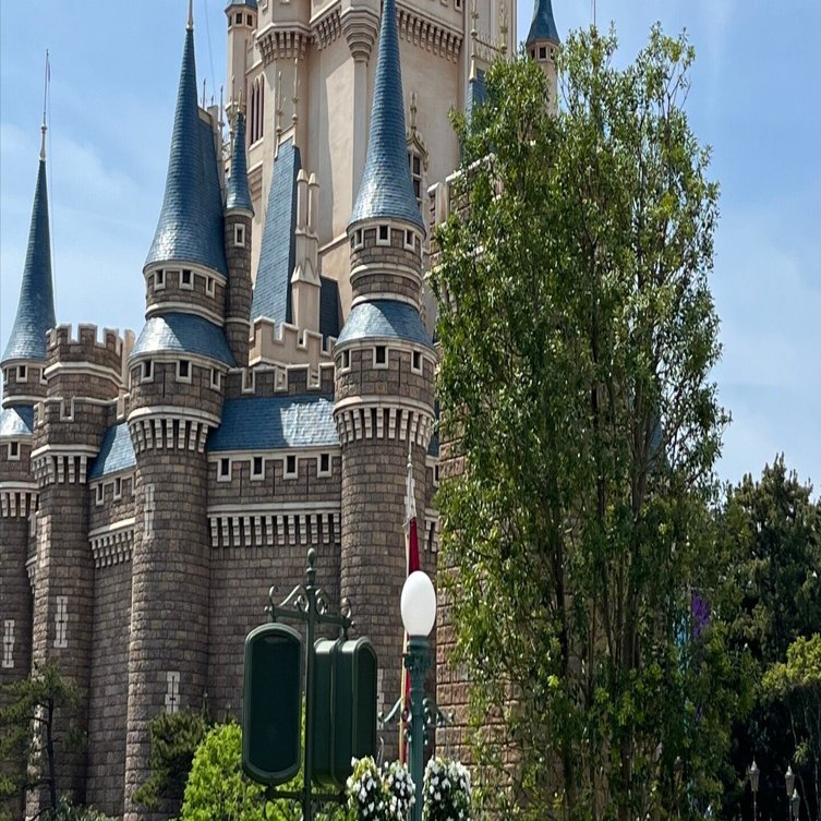 東京ディズニーランドに遊びに行ったはなし｜watariko