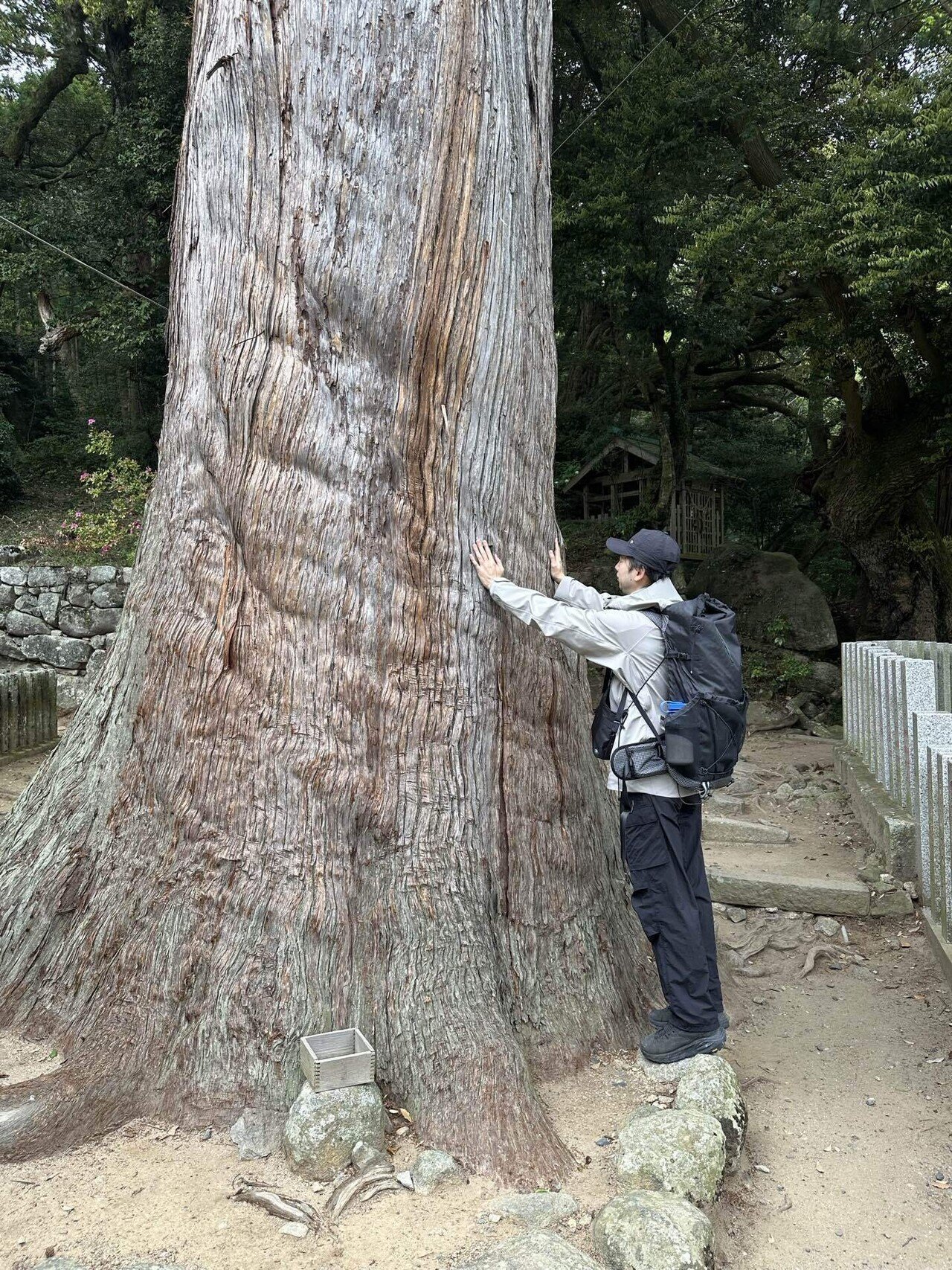 ジョセフアブード・マウンテン登山部 part7｜JOSEPH ABBOUD MOUNTAIN
