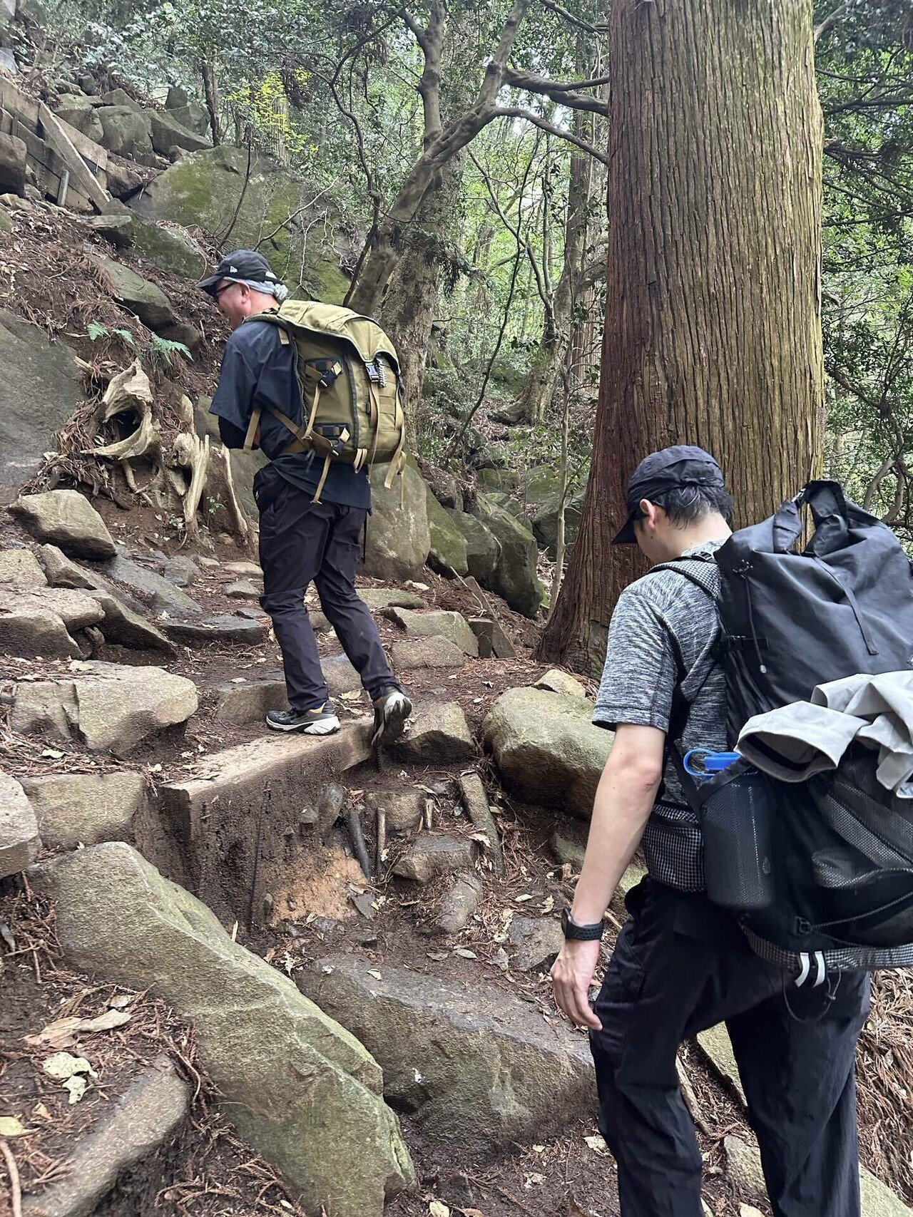 ジョセフアブード・マウンテン登山部 part7｜JOSEPH ABBOUD MOUNTAIN