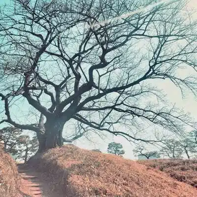 朽葉縹