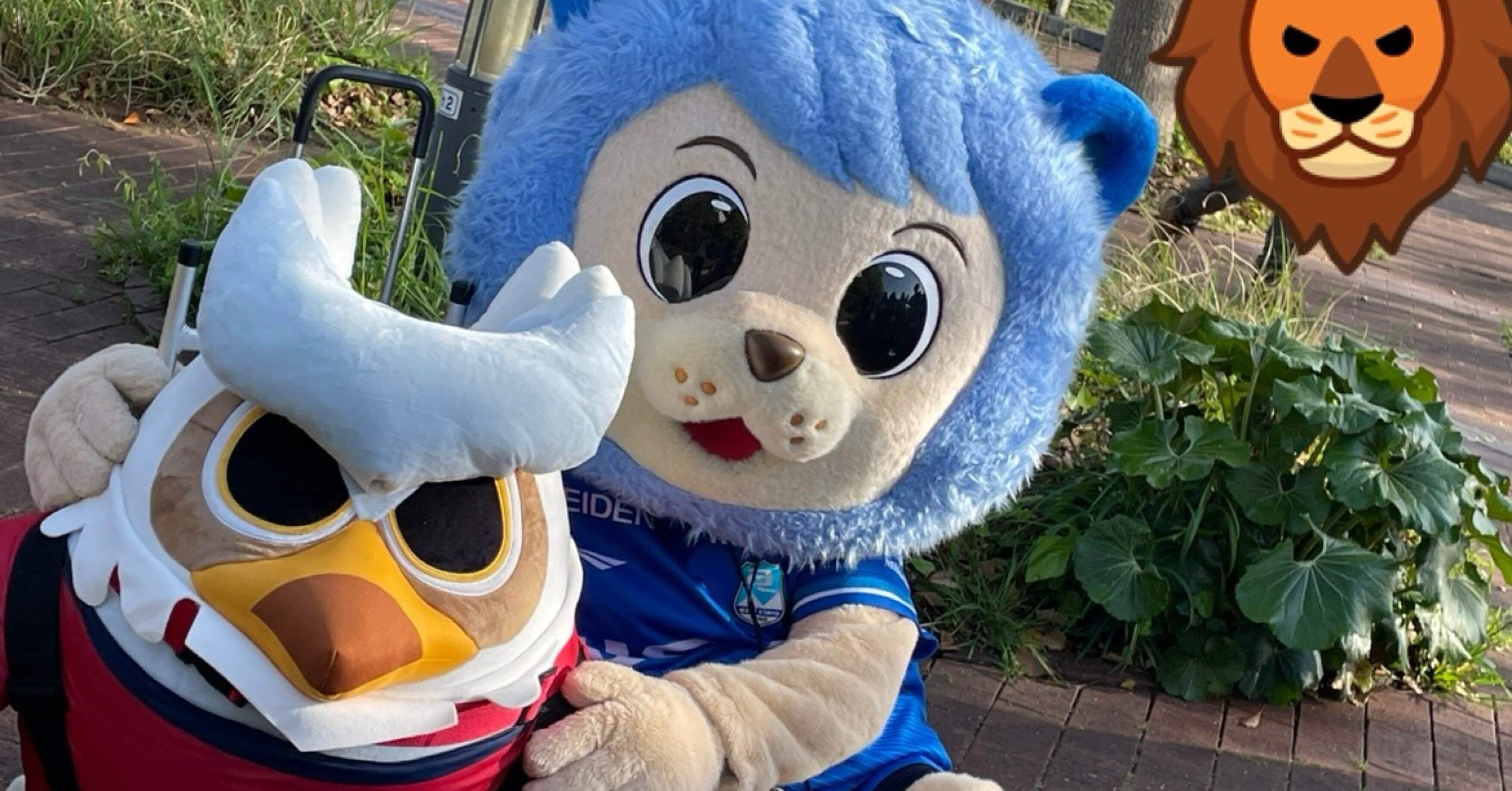 なまらでっかいおっちゃんこドーレくん　コンサドーレ札幌　マスコット なまらでっかいおっちゃんこドーレくん コンサドーレ札幌 マスコット