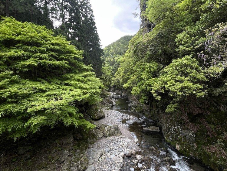 昨日は清滝から京都の名山、愛宕山。そして清滝から高雄の渓流歩きを楽しみました。大都会の京都からわずかな時間で人が少ないたくさんの自然が残っている京都。その自然にも実は歴史が重なっていたりして、やっぱり深いなぁと思います。
