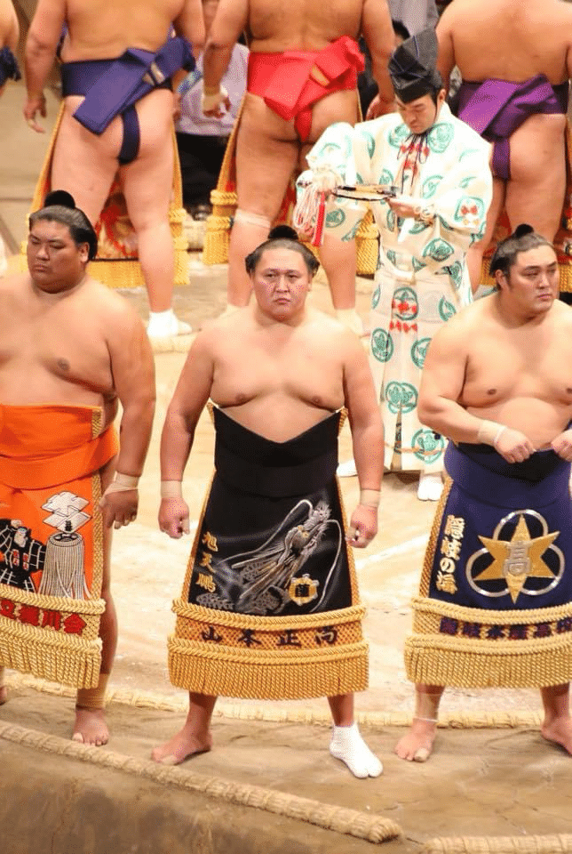大相撲 化粧まわし物語】|ヨコポン 大相撲 化粧まわし物語】|ヨコポン