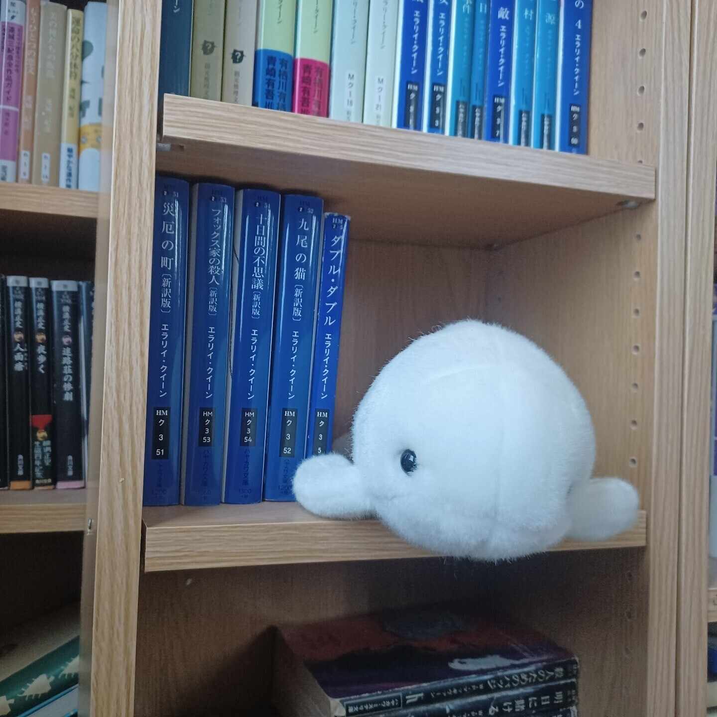 安藤直樹シリーズを読んだよ②｜マヌヌ2号