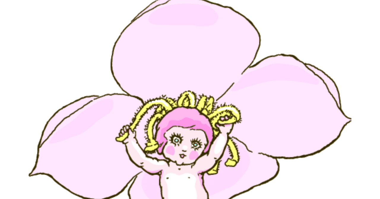 ボロニアの花は本当にパラシュートみたいにはらはらと キャノン美佳 Note