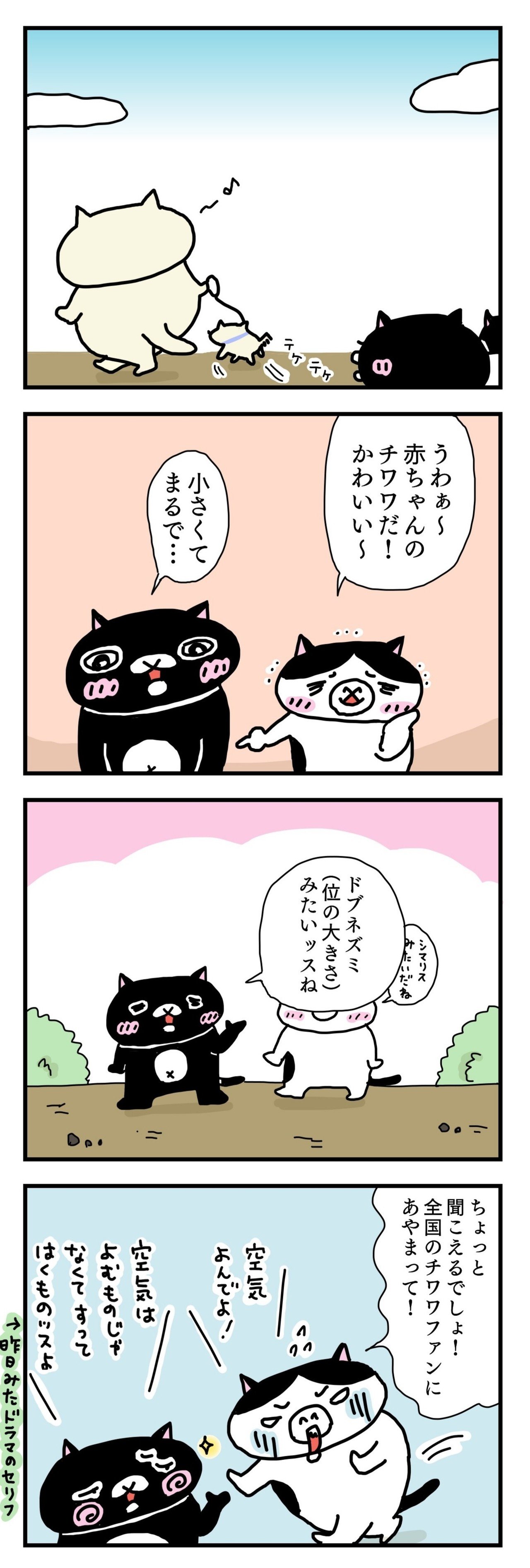 チワワの赤ちゃん 髙田ナッツ オンガク猫団 Note
