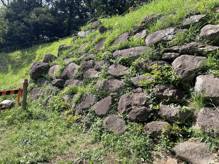 マイナーすぎるお城！興国寺城(^o^)