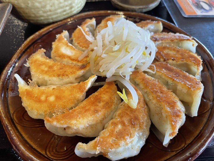 静岡といえば浜松餃子😋　めっちゃ安くて美味い(°▽°)