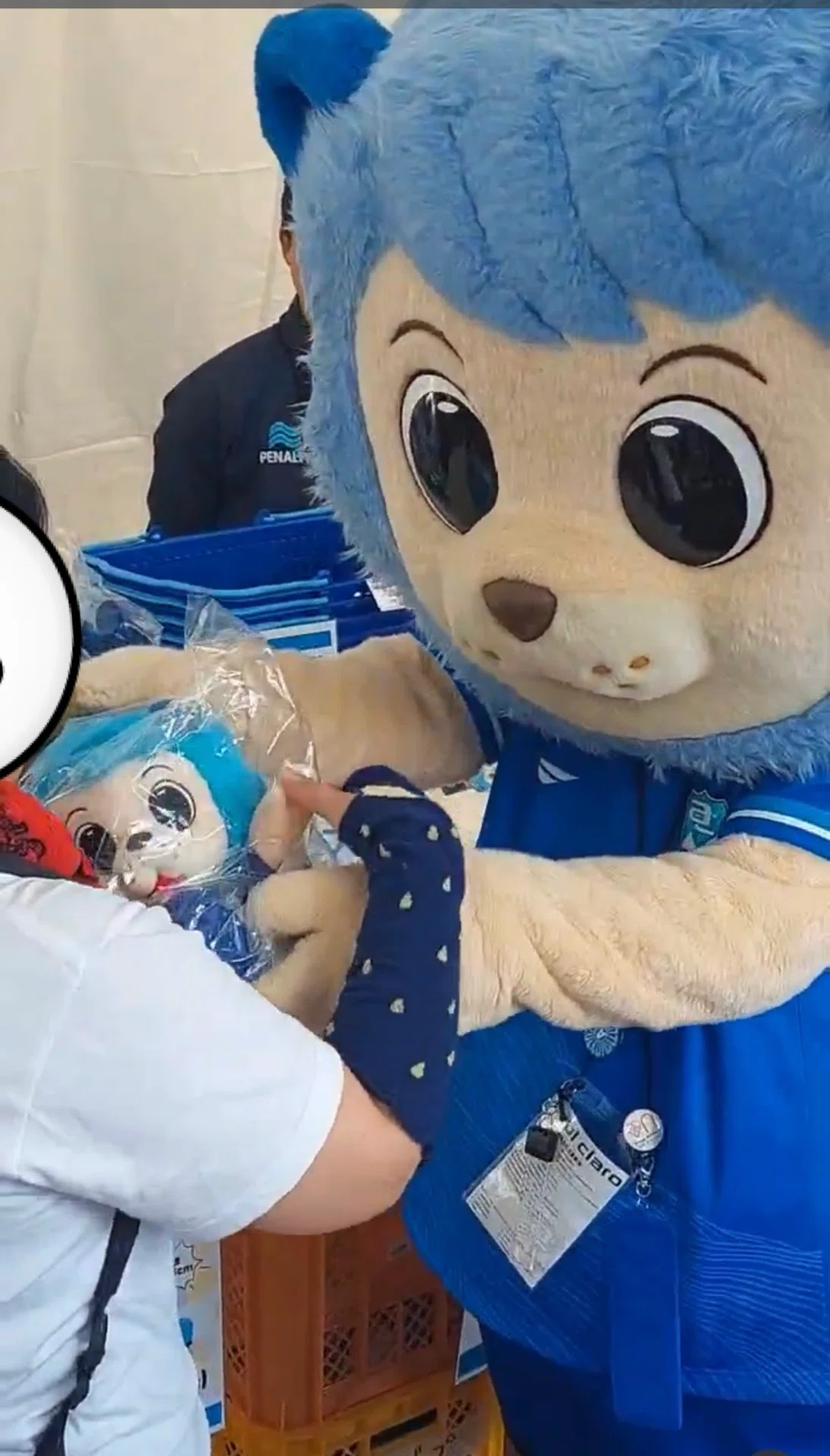 なまらでっかいおっちゃんこドーレくん　コンサドーレ札幌　マスコット コンサドーレ札幌 なまらでっかいおっちゃんこドーレくん コンサドーレ