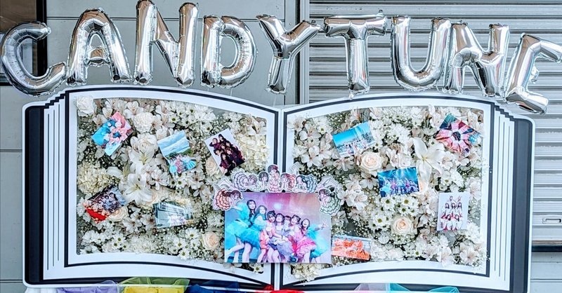 【ライブ観戦記】CANDY TUNE 1st ANNIVERSARY TOUR 2024 -TUNE UP IN TO US-東京公演@豊洲PIT