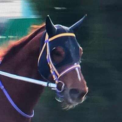 競馬ゲーム感想記事②】Champion Jockey Special(プレイ時間1200