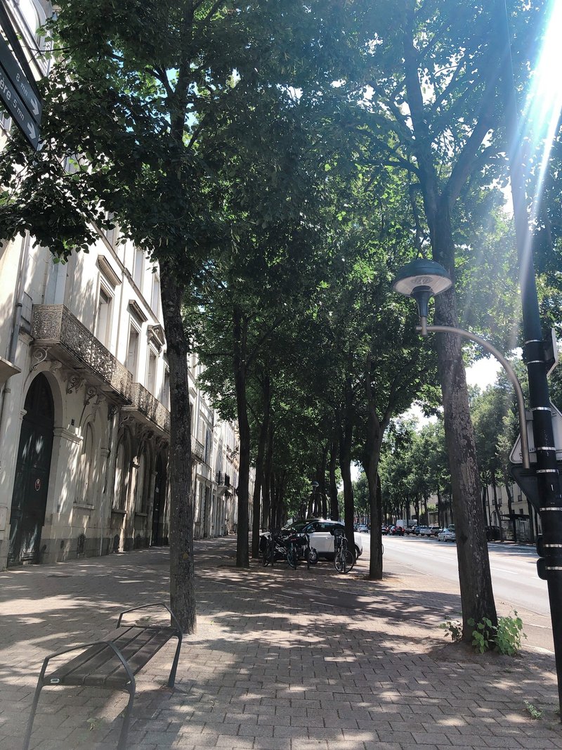 女一人旅 フランス在住と過ごして気づく日本とココが違いすぎた話 なっちゃん Note