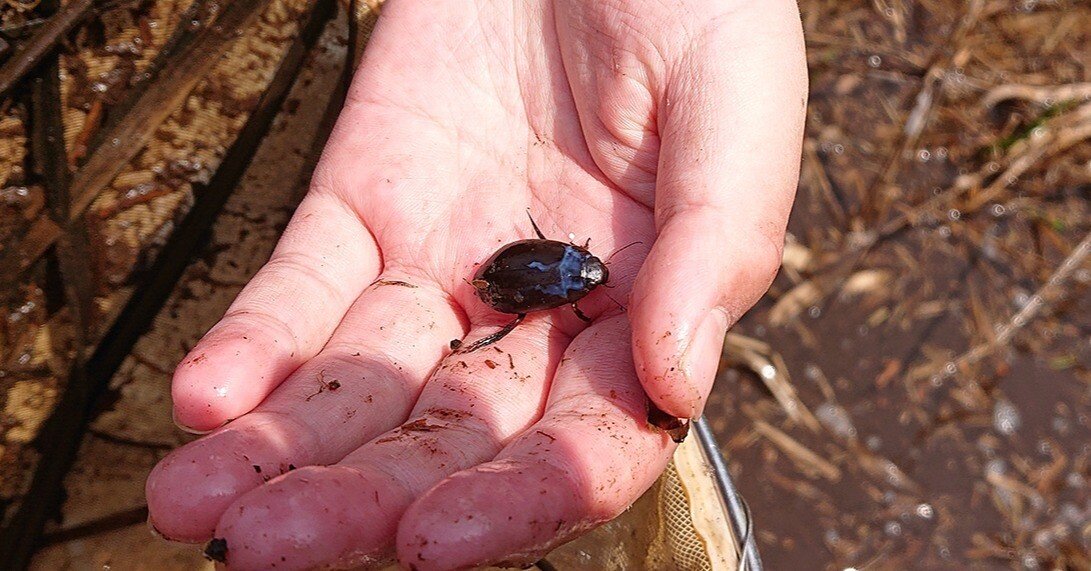 ce14d61e5a4b47d679ffd2f6780f1b