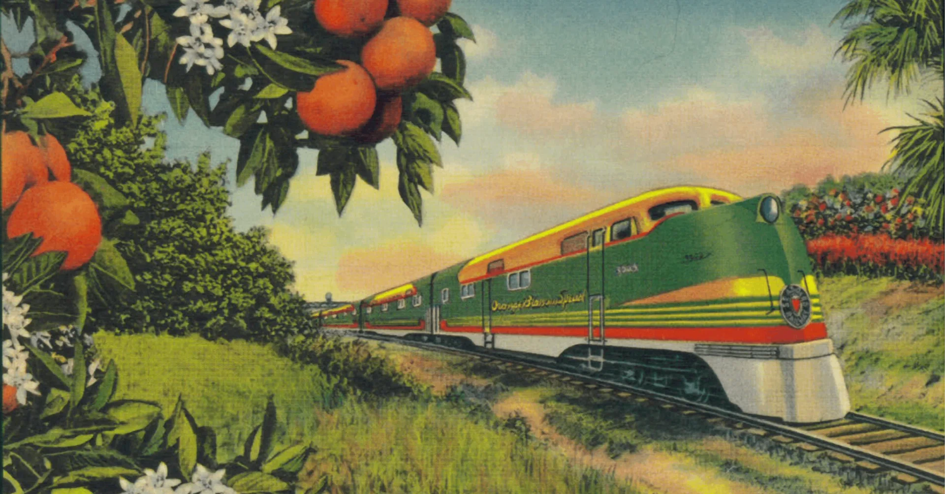 Orange Blossom Special｜しゅみお