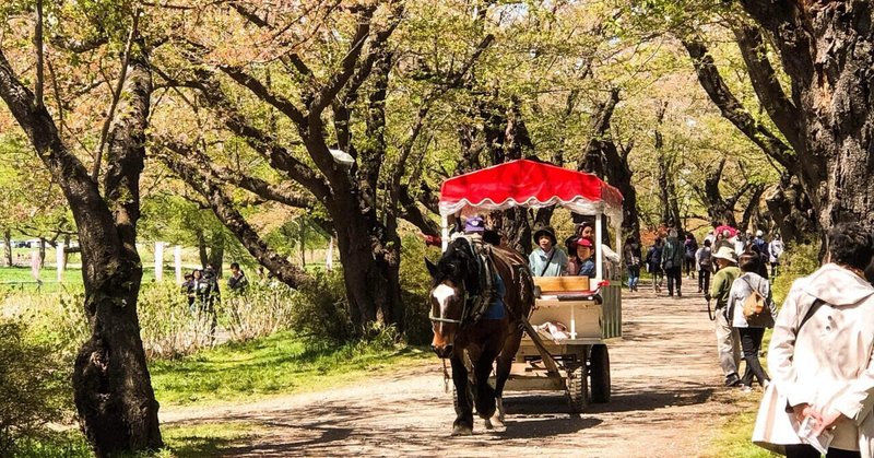 2019.4.29.小岩井農場、石割桜、北上展勝地